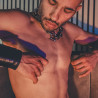 The Male Muse Livre photo PULP n°6